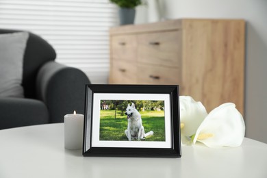 Photo of Frame with picture of dog, burning candle and calla lily flowers on white table indoors. Pet funeral