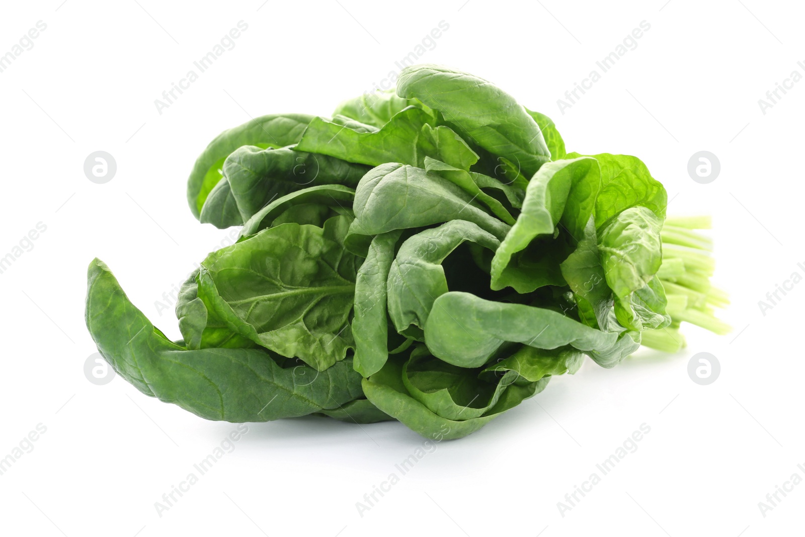 Photo of Bundle of fresh spinach isolated on white