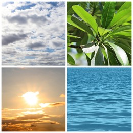 Collage with photos of water, green plant, white clouds in sky and sun. Beautiful nature 