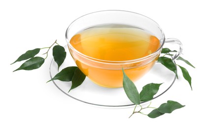 Fresh green tea in glass cup, leaves and saucer isolated on white