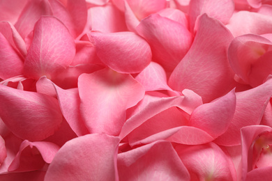 Photo of Fresh pink rose petals as background, closeup