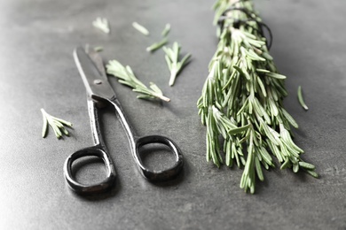 Photo of Fresh rosemary twigs and scissors on gray table