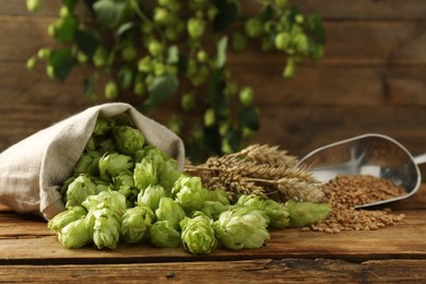 Fresh green hops, wheat grains and spikes on wooden table