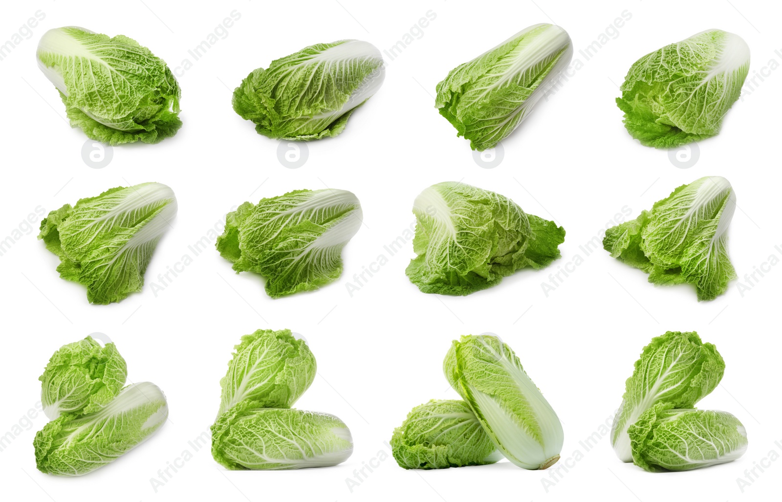 Image of Collage with fresh Chinese cabbages on white background