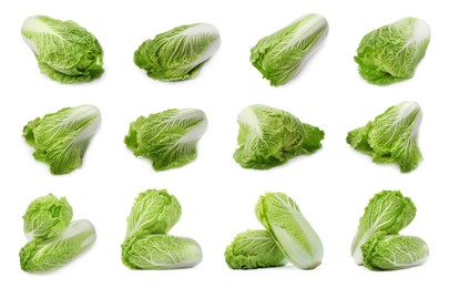 Image of Collage with fresh Chinese cabbages on white background