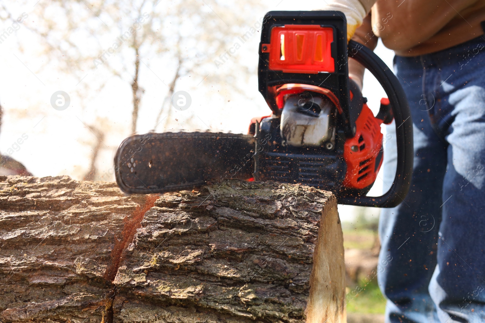 Photo of Man sawing wooden log on sunny day, closeup