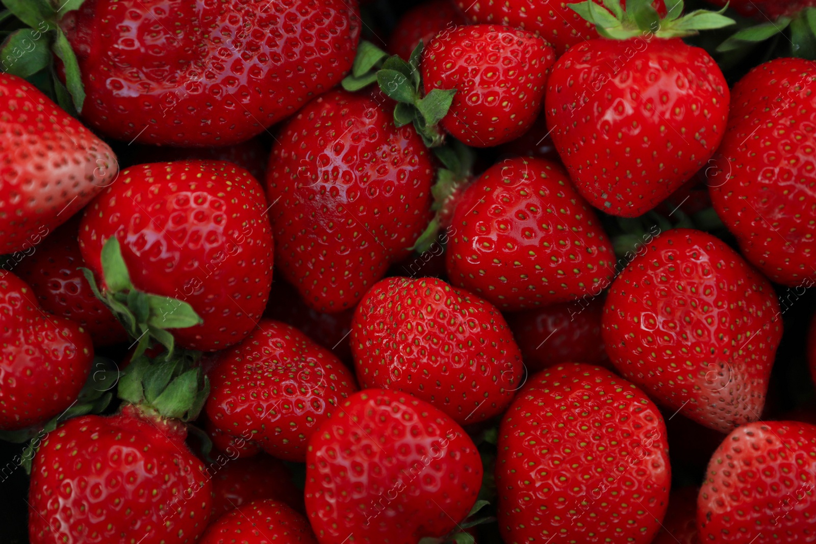 Photo of Heap of ripe red strawberries as background, top view