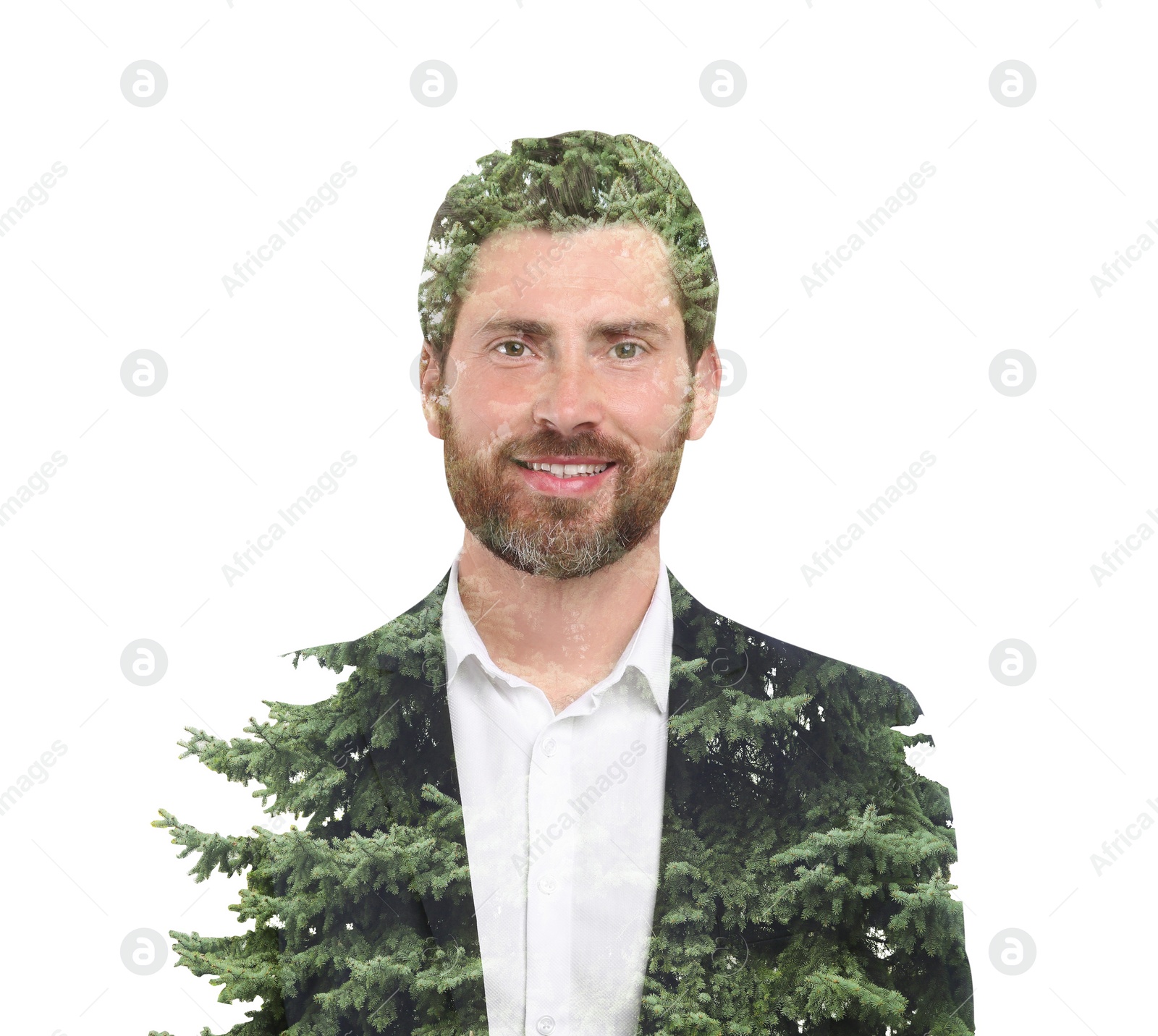 Image of Double exposure of businessman and trees on white background