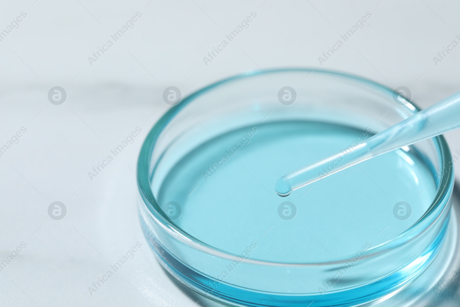 Photo of Dripping liquid from pipette into petri dish at white table, closeup