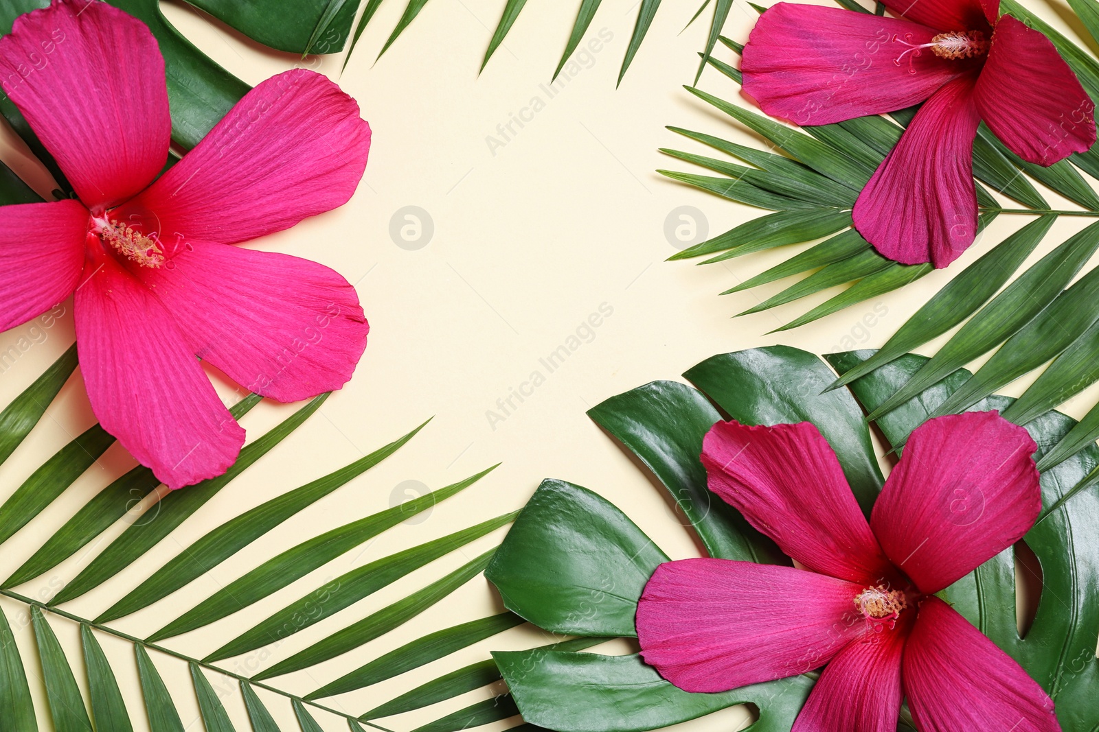 Photo of Flat lay composition with tropical leaves and Hibiscus flowers on beige background