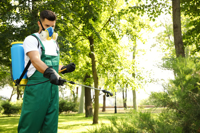 Photo of Worker spraying pesticide onto green bush outdoors. Pest control