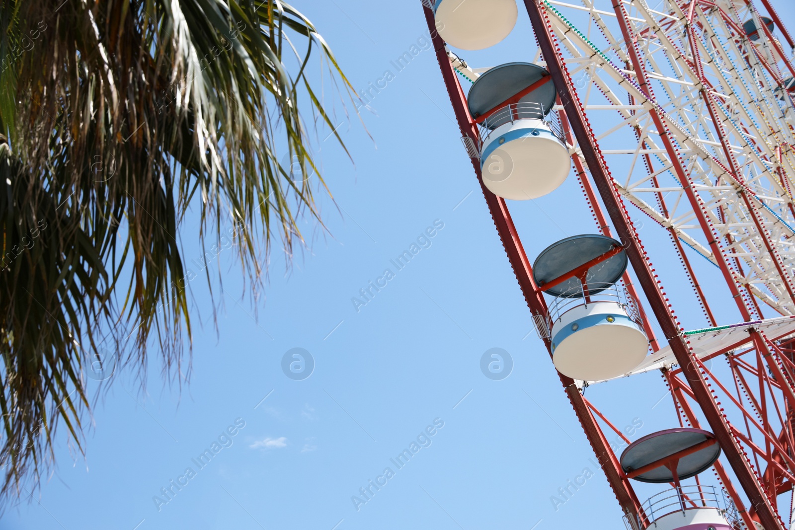 Photo of Beautiful large Ferris wheel and palm against blue sky, closeup