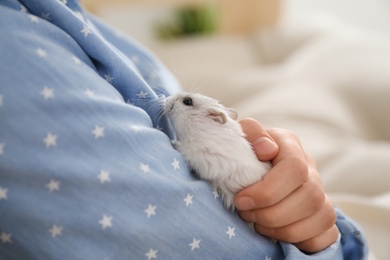 Photo of Little girl with cute hamster at home, closeup