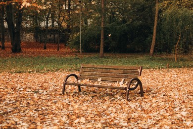 Photo of Wooden bench and fallen yellowed leaves in park