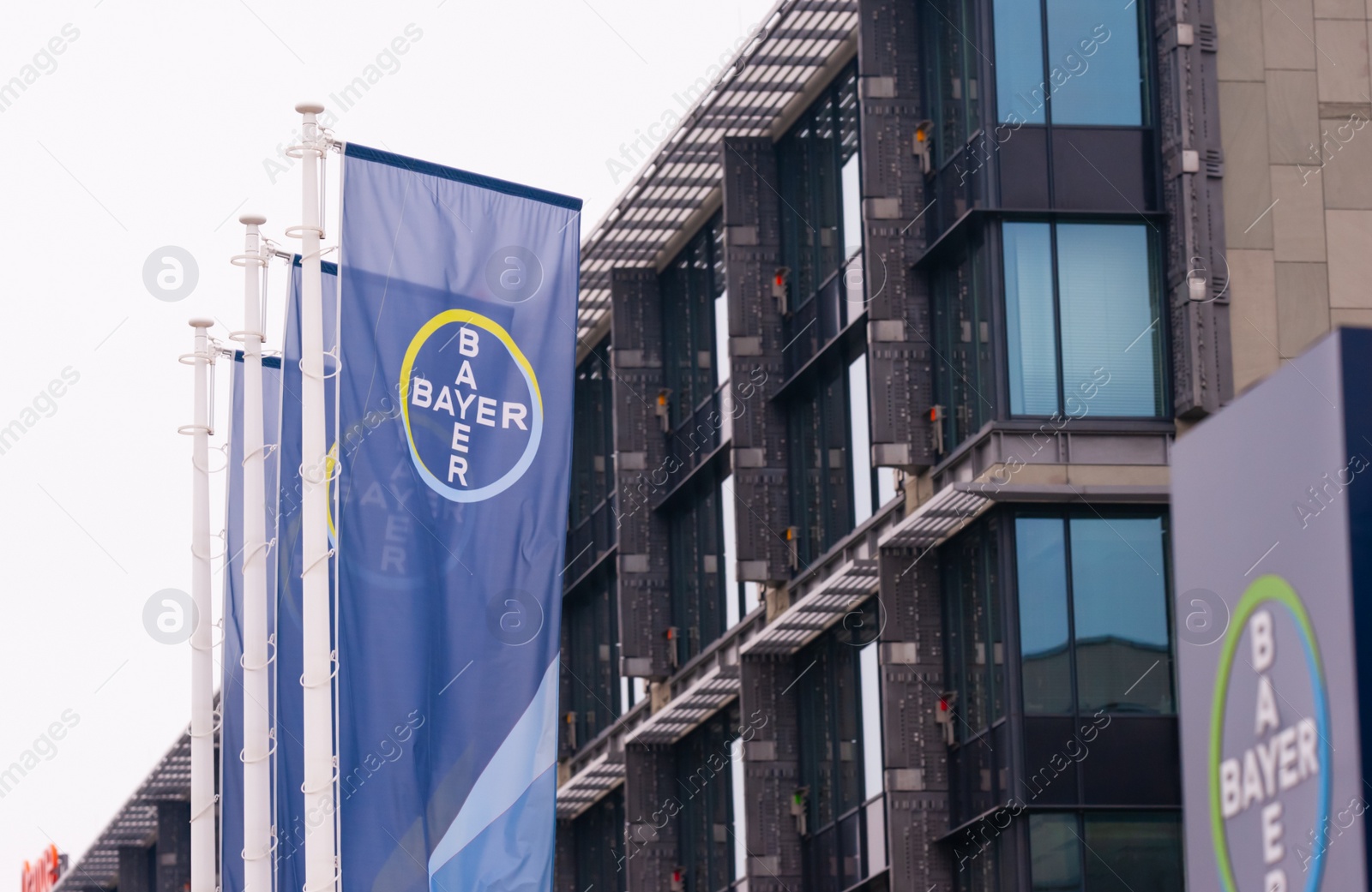 Photo of Warsaw, Poland - September 10, 2022: Beautiful modern Bayer logos on flags