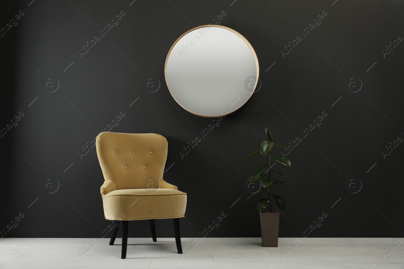 Photo of Stylish armchair and houseplant near black wall. Interior design