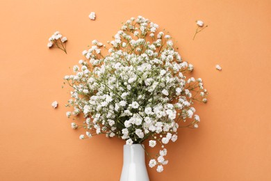 Photo of Beautiful gypsophila flowers in vase on orange background, top view