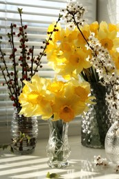 Photo of Yellow daffodils and beautiful branches on windowsill