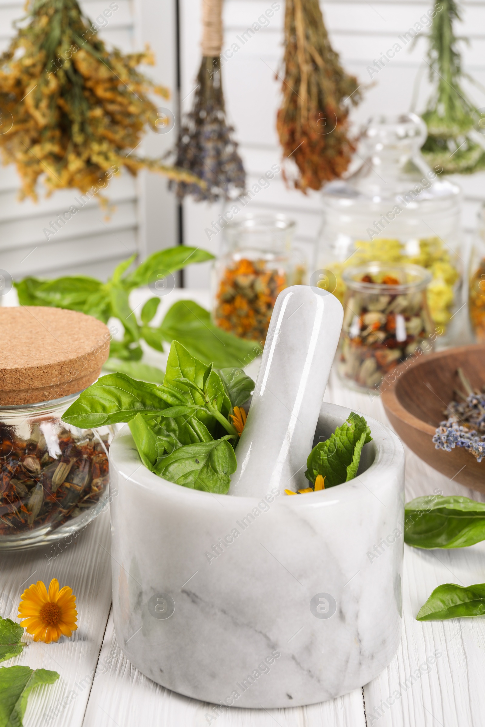 Photo of Mortar with pestle and many different medicinal herbs on white wooden table