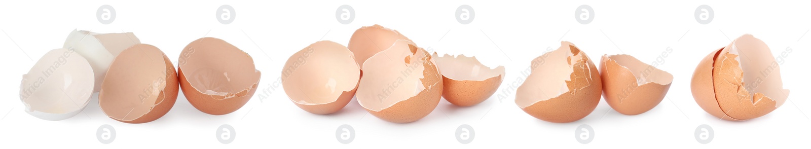 Image of Egg shells on white background., collage. Composting of organic waste