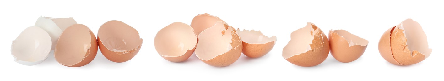 Image of Egg shells on white background., collage. Composting of organic waste