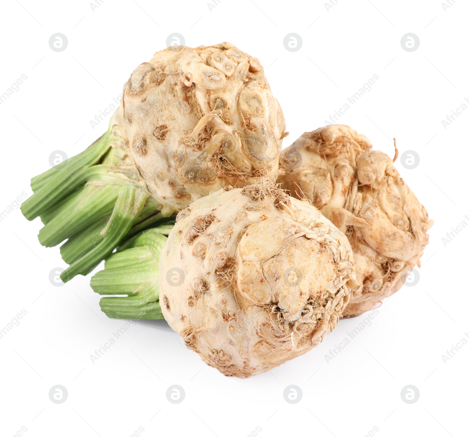 Photo of Fresh raw celery roots isolated on white