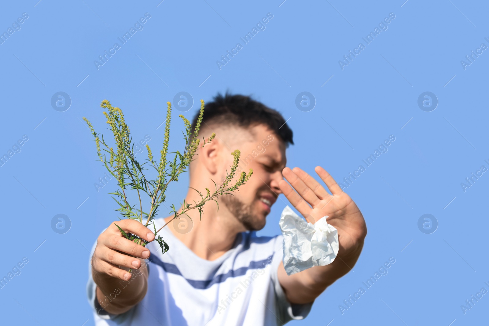 Photo of Man with ragweed branch suffering from allergy outdoors, focus on hands