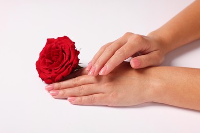 Woman with red rose on white background, closeup