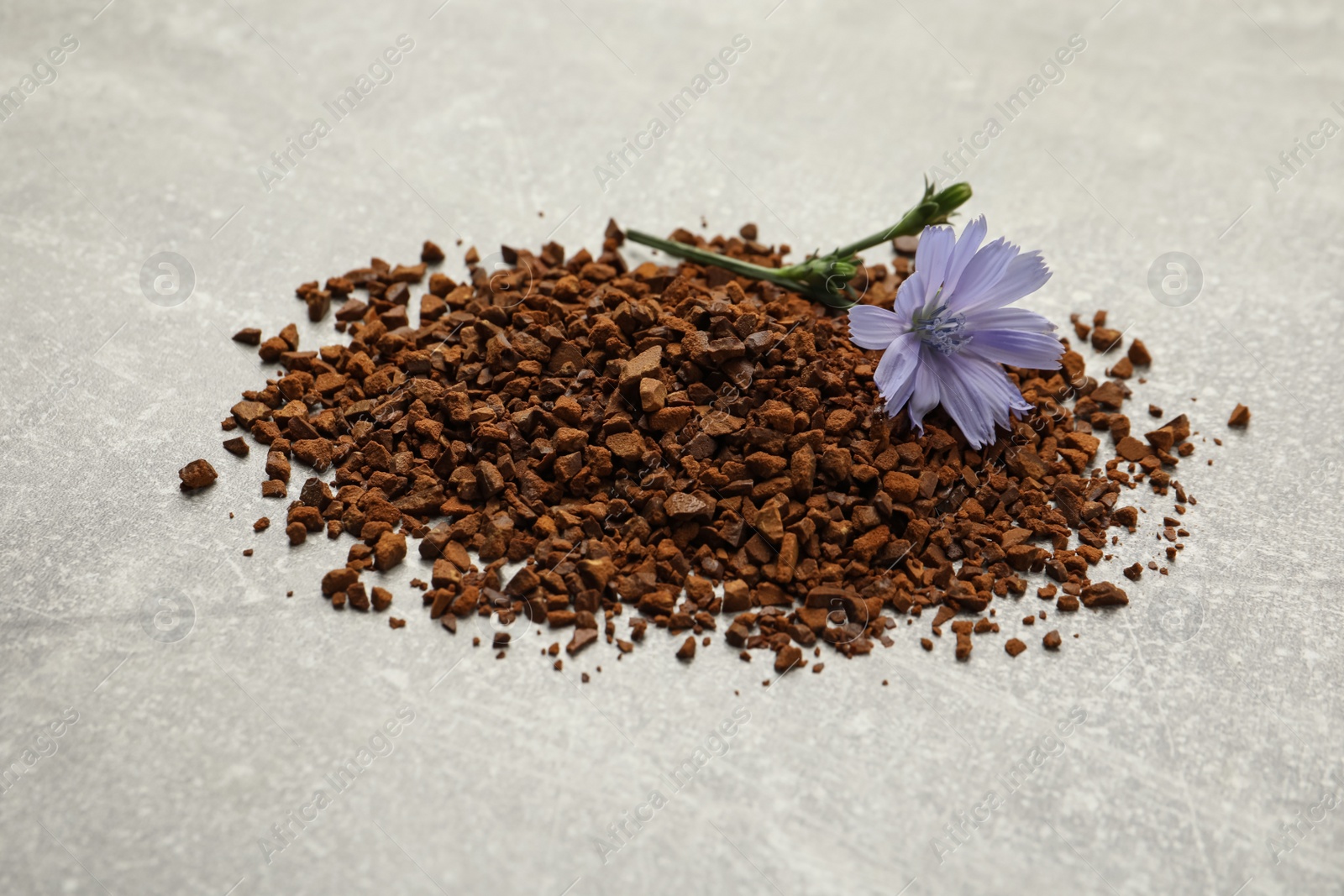 Photo of Pile of chicory granules and flower on light grey table