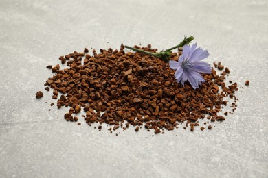 Pile of chicory granules and flower on light grey table