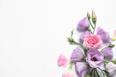 Beautiful Eustoma flowers on white background, top view. Space for text