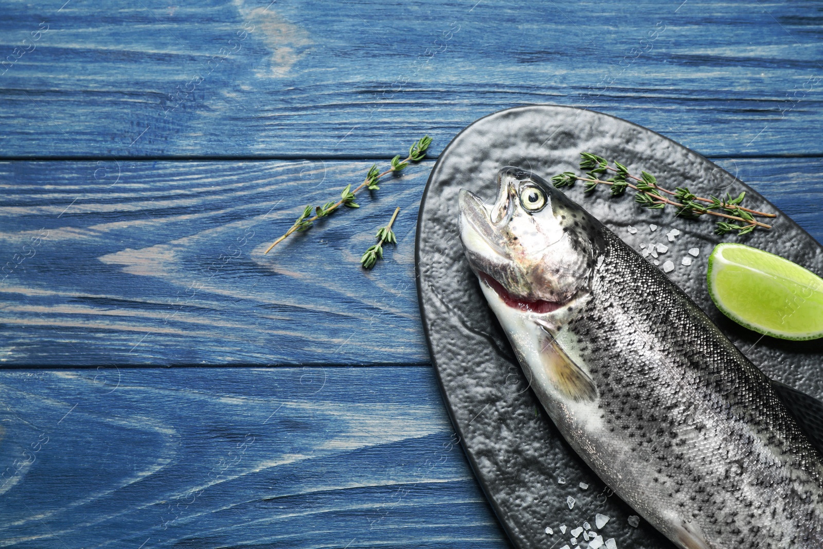 Photo of Raw cutthroat trout fish on blue wooden table, flat lay. Space for text