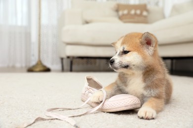 Photo of Cute akita inu puppy playing with shoe on carpet in living room
