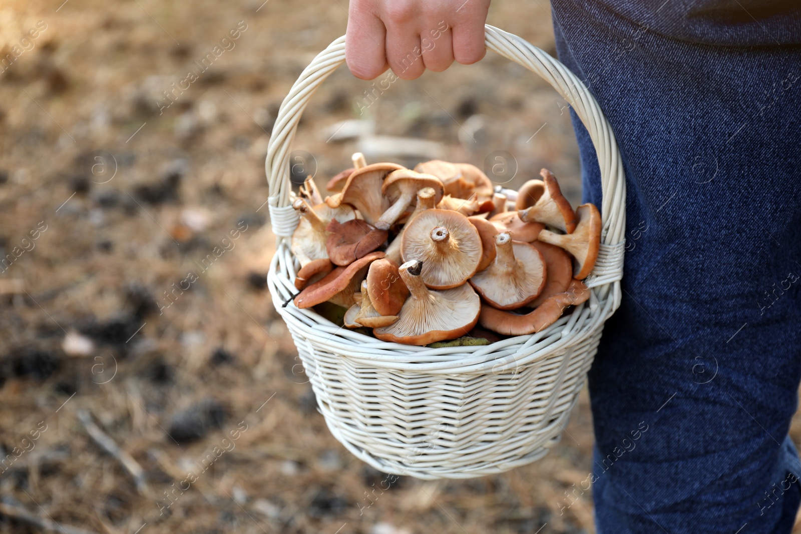 Photo of Woman holding wicker basket with fresh wild mushrooms in forest, closeup