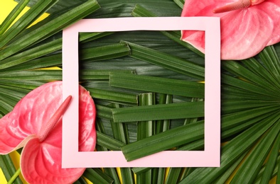 Creative flat lay composition with tropical foliage and pink anthurium flowers