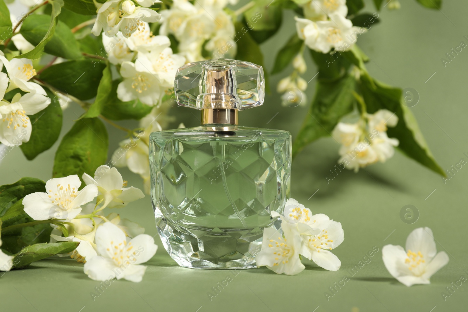 Photo of Aromatic perfume in bottle among beautiful jasmine flowers on pale green background