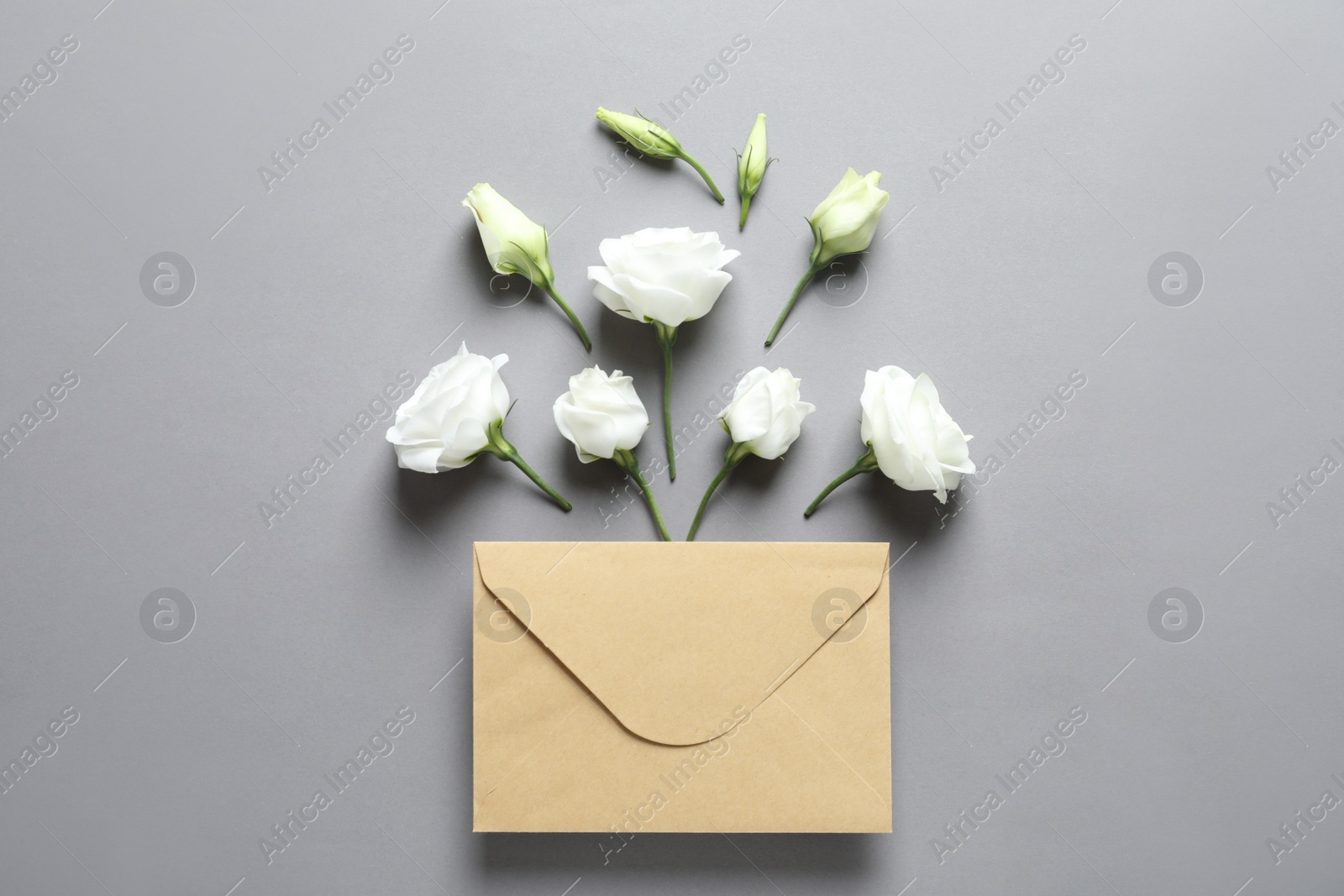 Photo of Beautiful Eustoma flowers and envelope on gray background