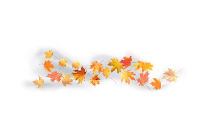 Many autumn leaves moving by gust wind on white background