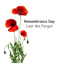 Image of Remembrance day card. Red poppy flowers and text Lest We Forget on white background