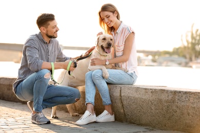 Cute yellow labrador retriever with owners outdoors