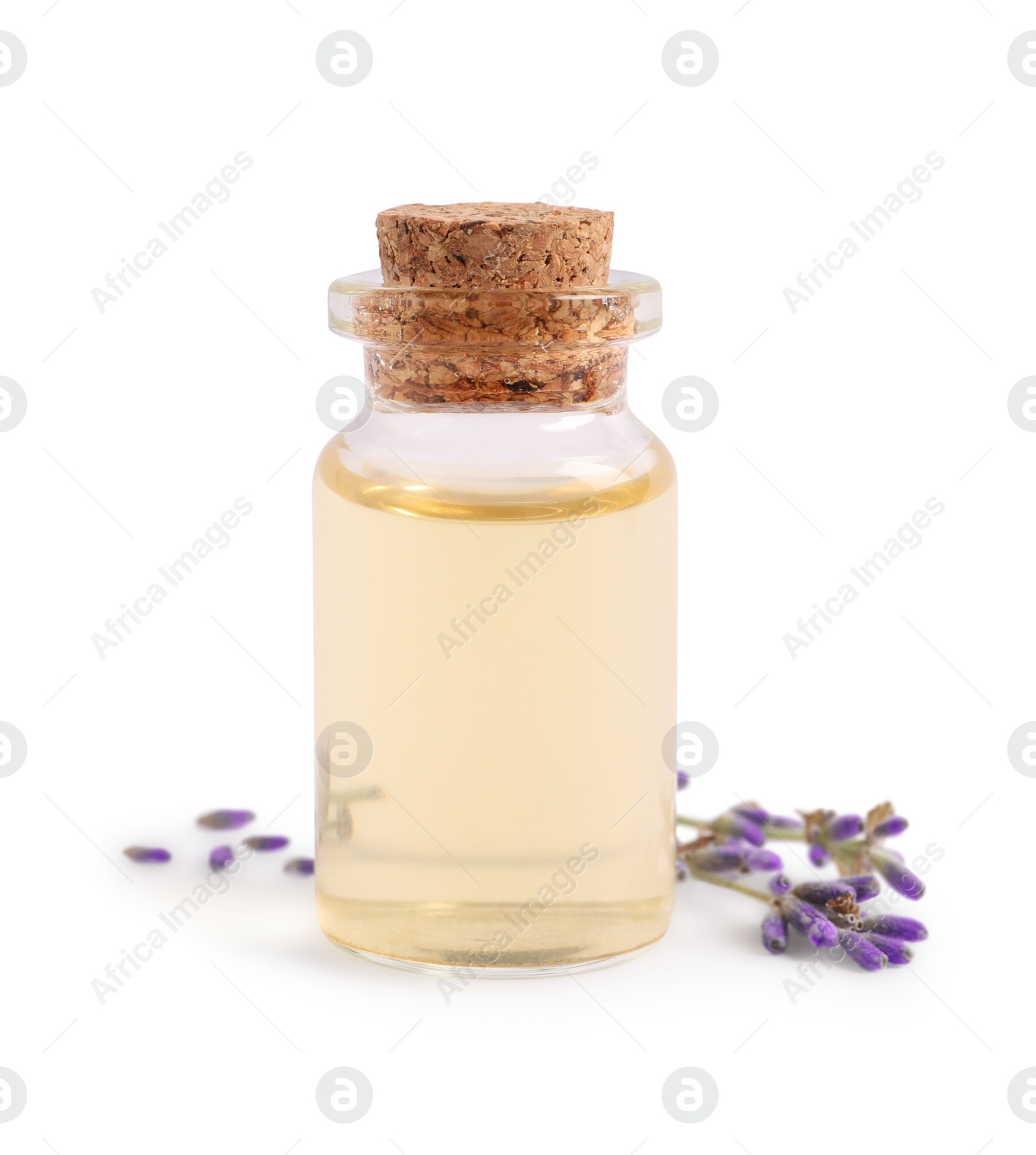 Photo of Bottle of essential oil and lavender flowers on white background