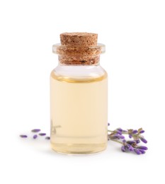 Photo of Bottle of essential oil and lavender flowers on white background