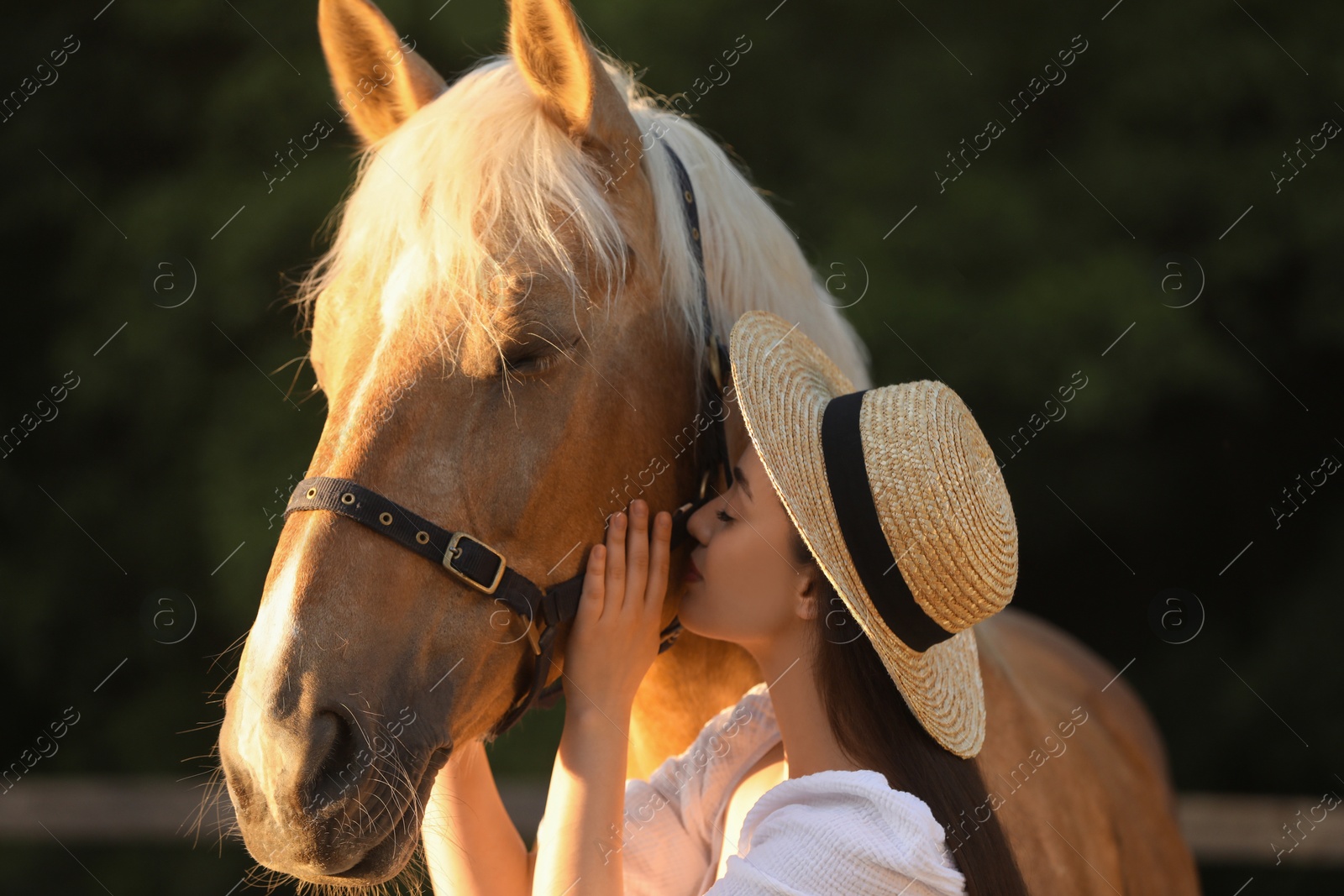 Photo of Woman with adorable horse outdoors. Lovely domesticated pet