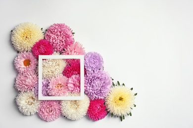 Beautiful aster flowers and picture frame on white background, top view