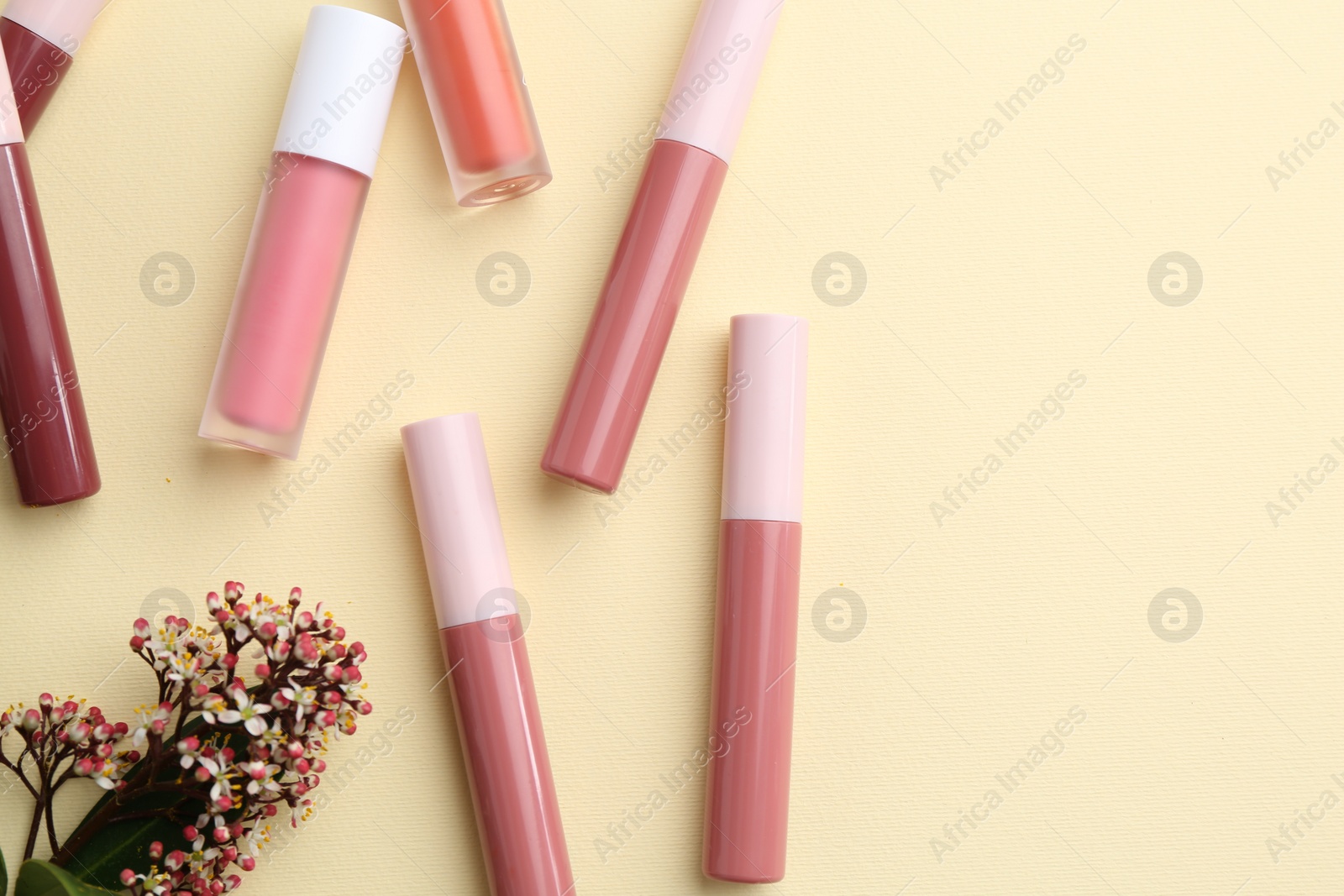 Photo of Different lip glosses and flowers on pale yellow background, flat lay. Space for text