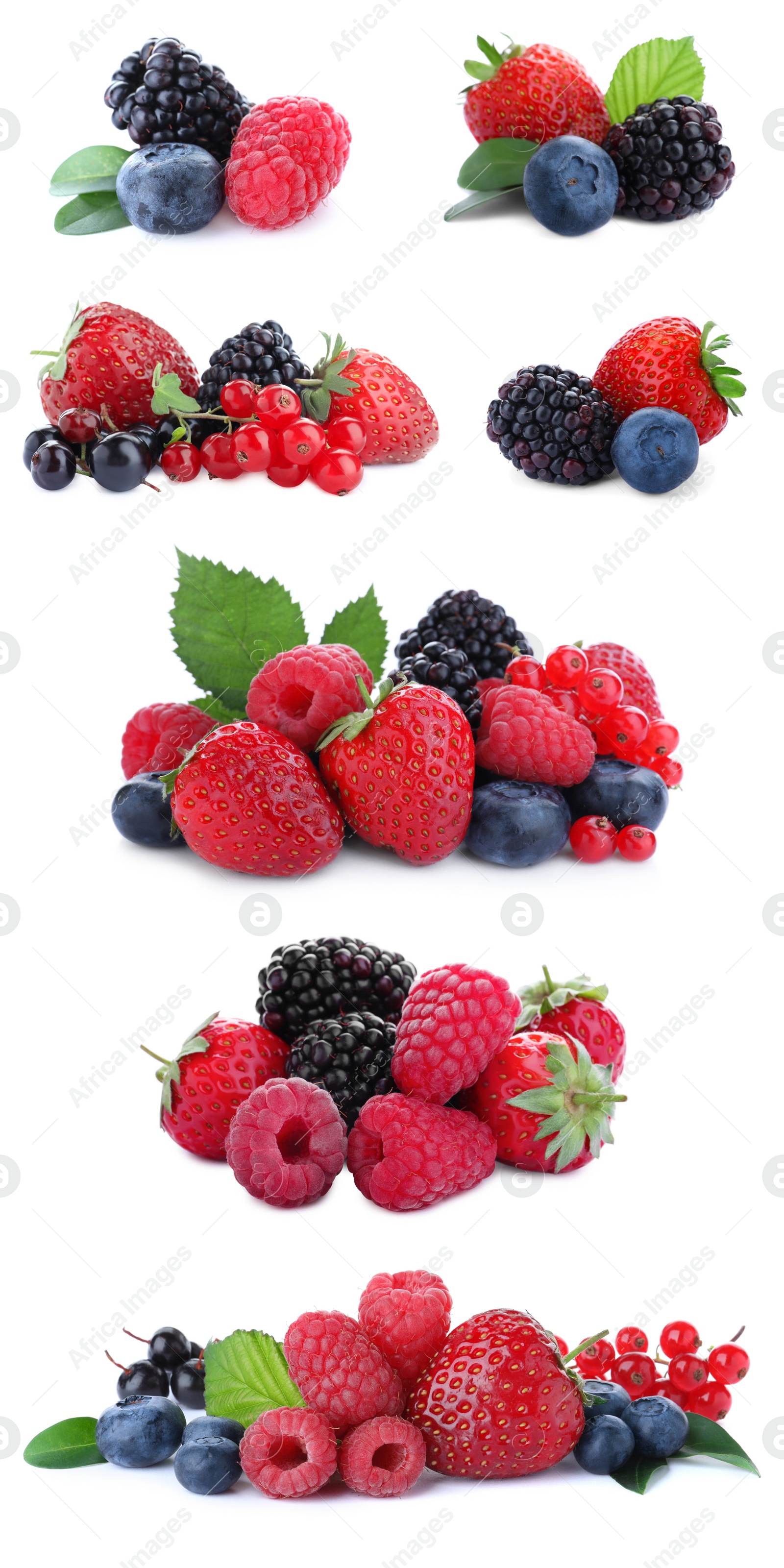 Image of Set of different mixed berries on white background