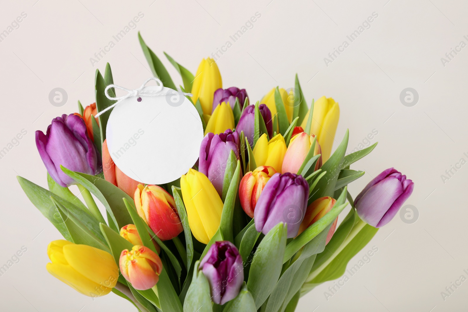 Photo of Bouquet of colorful tulips with blank card on white background, closeup