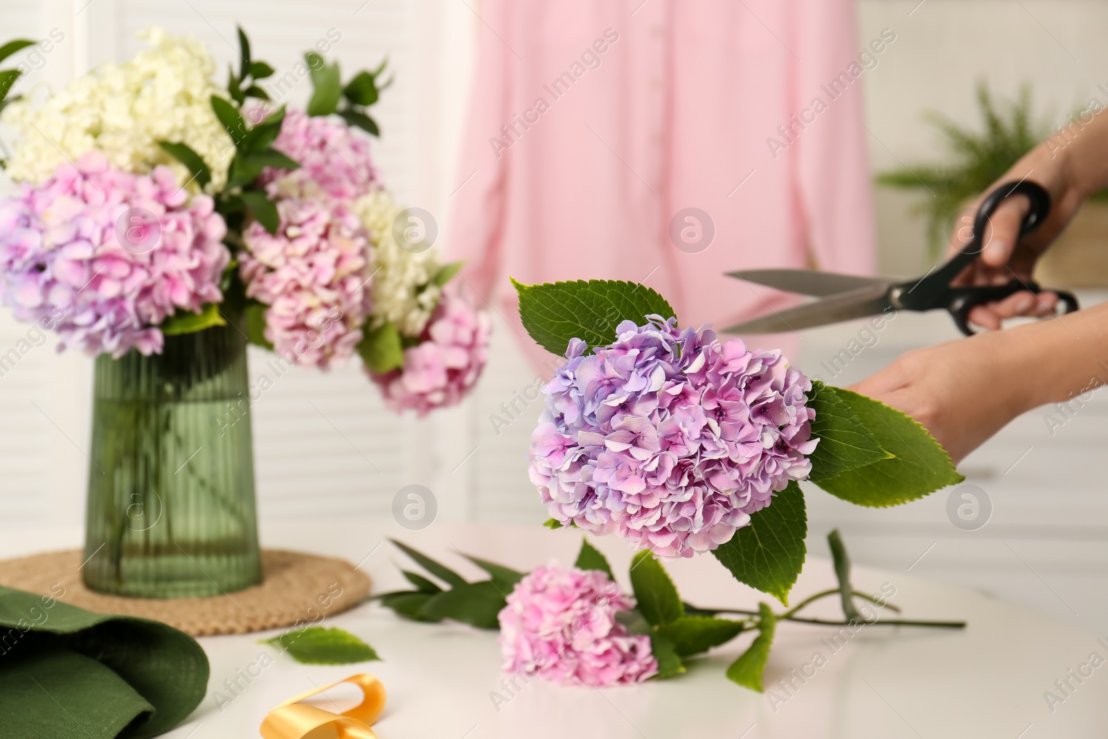 Photo of Woman pruning stem of hydrangea flower indoors, closeup. Interior design element