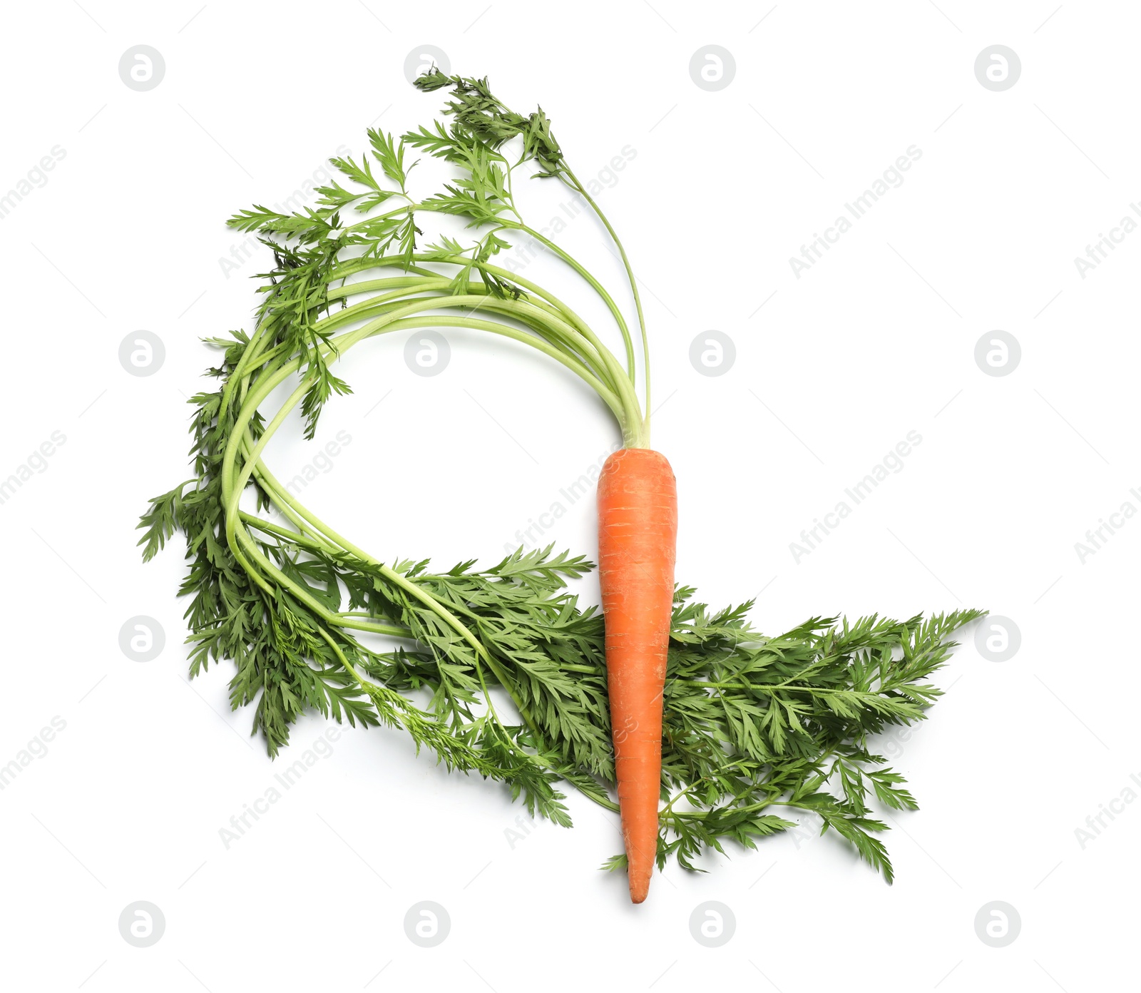 Photo of Fresh ripe carrot on white background, top view