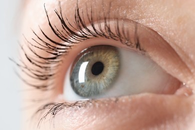 Photo of Macro photo of woman with beautiful eyes